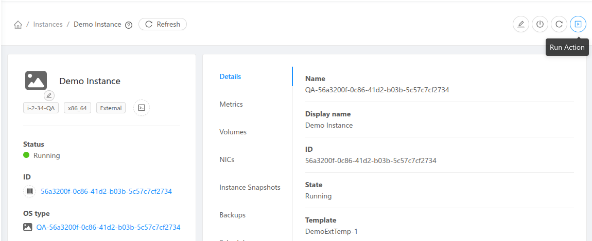 run-custom-action-instance.png